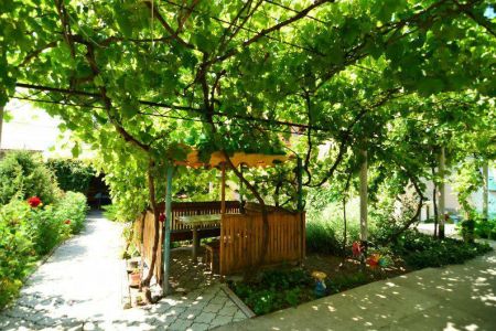 Внешний вид1