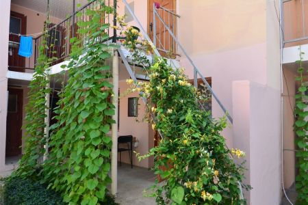 Внешний вид1