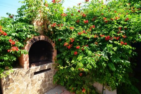 Внешний вид1