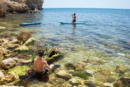 Внешний вид