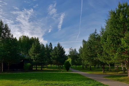 Внешний вид