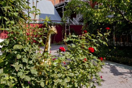 Внешний вид