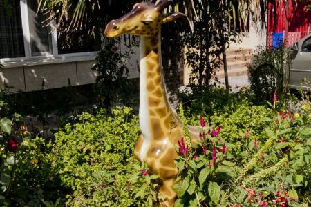 Внешний вид