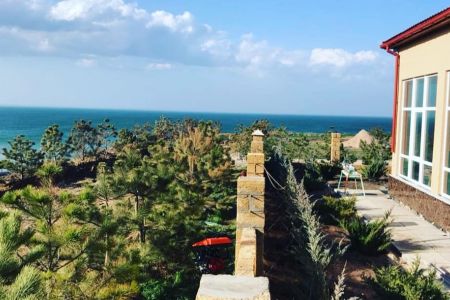 Внешний вид