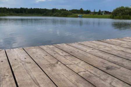 IMG_1588_cnv-768x1024