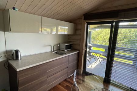 IMG_1588_cnv-768x1024