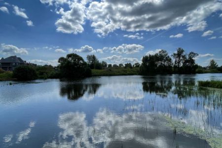 IMG_1588_cnv-768x1024