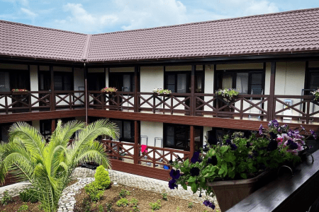 Внешний вид