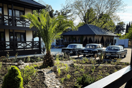 Внешний вид