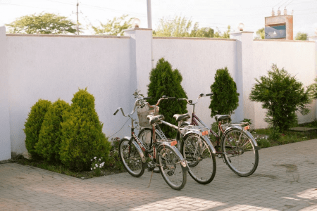 Внешний вид