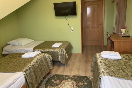 Семейный 3-местный