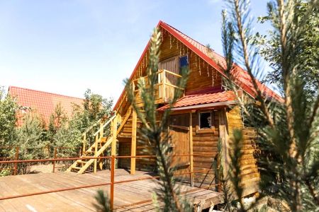 Аракуль. Внешний вид