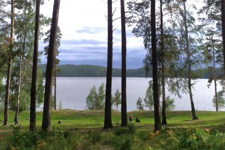 Аракуль. Внешний вид