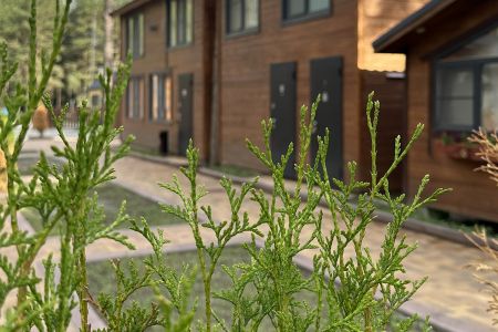 Территория