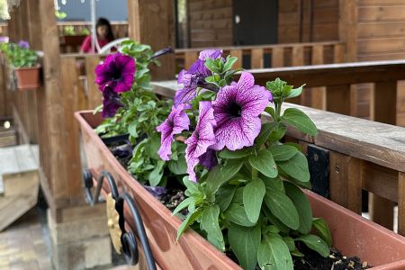 Вилла 8-местная 2-этажная №1