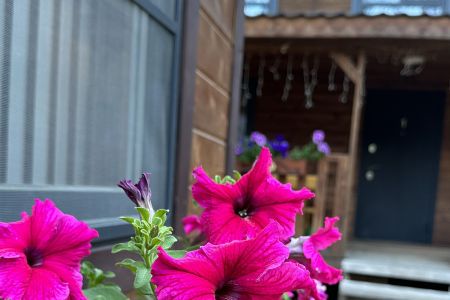 Территория