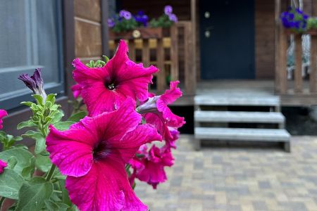 Территория