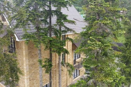 Внешний вид