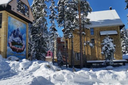 Внешний вид