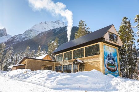 Внешний вид