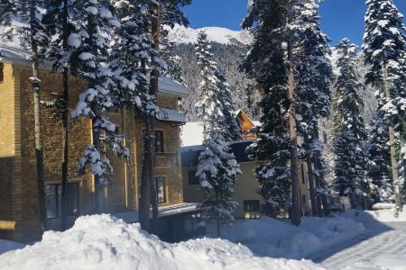 Внешний вид