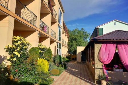 Внешний вид