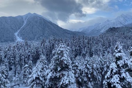 Природа Архыза