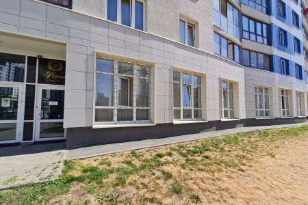 Внешний вид