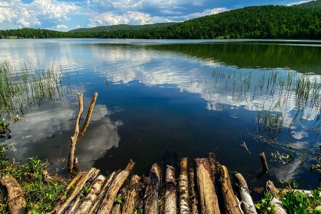 Озеро Дикое