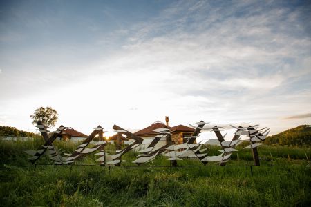 Внешний вид