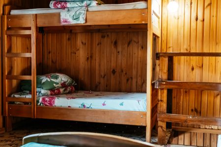 Фитокомплекс