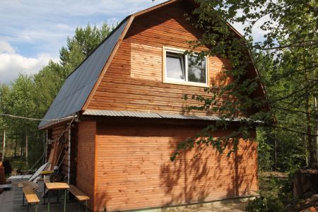 Серебряное копытце