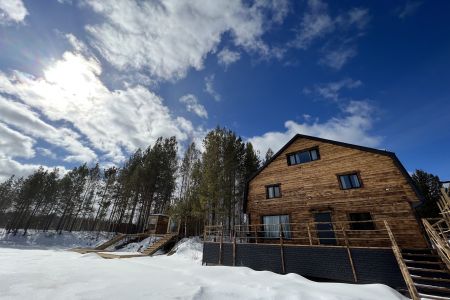 Серебряное копытце