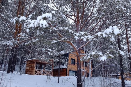 Серебряное копытце