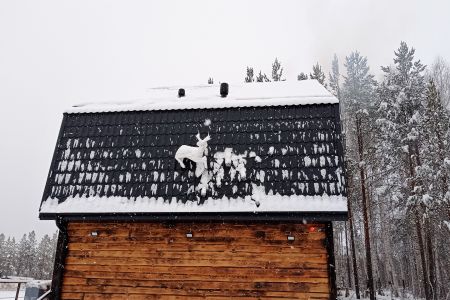 Серебряное копытце