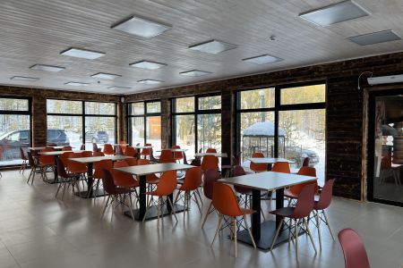 Серебряное копытце