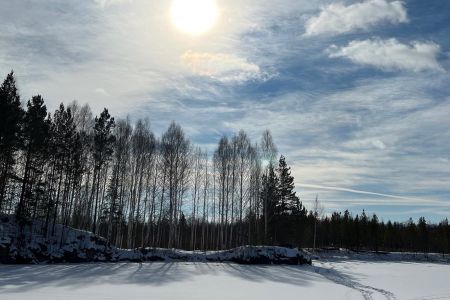 Серебряное копытце