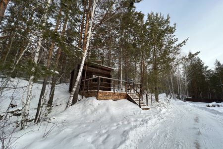 Серебряное копытце