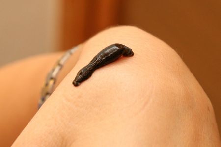 Внешний вид