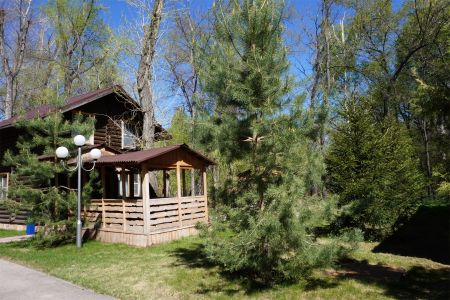 637190129043358193-9fd19cd9-b64e-4cdc-a29c-0d2d0b2fcb15