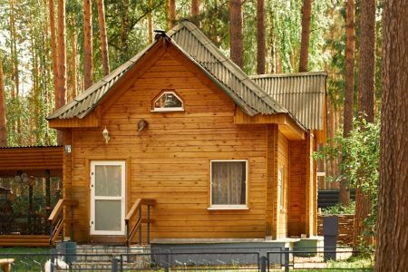 Зеленый бор