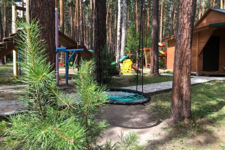 Зеленый бор