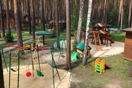 Зеленый бор