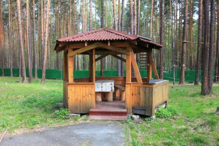 Зеленый бор