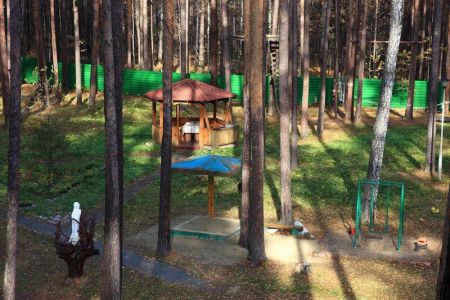 Зеленый бор