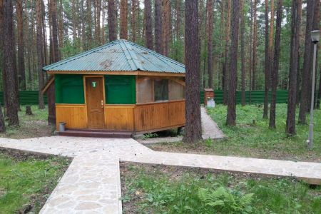 Зеленый бор