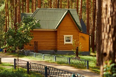 Зеленый бор