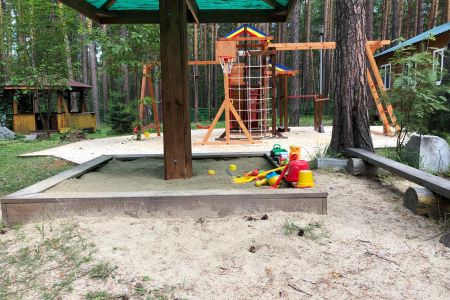 Зеленый бор