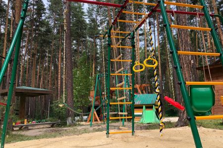 Зеленый бор