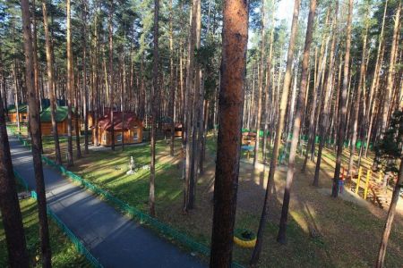 Зеленый бор